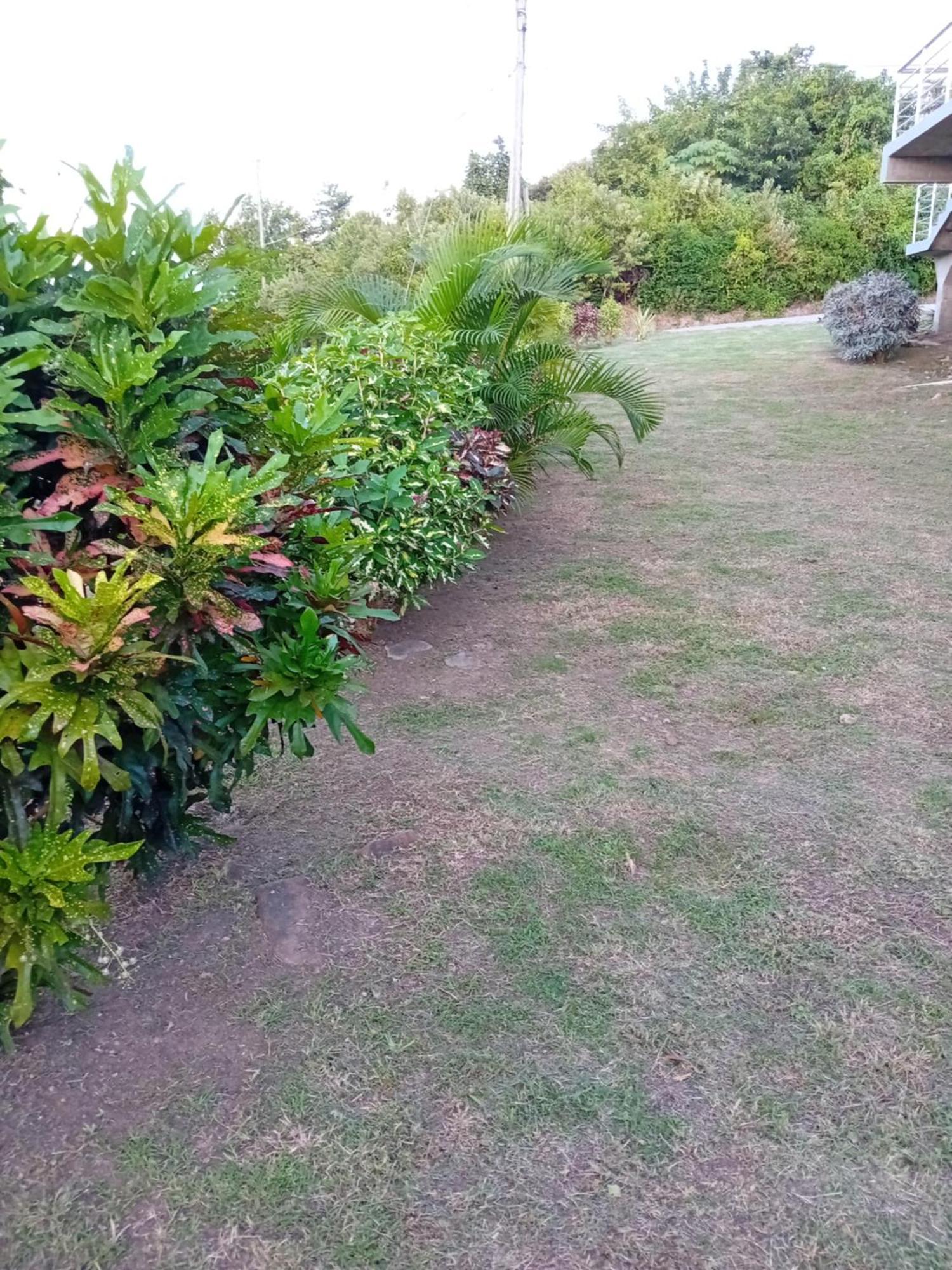 Anse La Raye Serenity Seaview Suite מראה חיצוני תמונה
