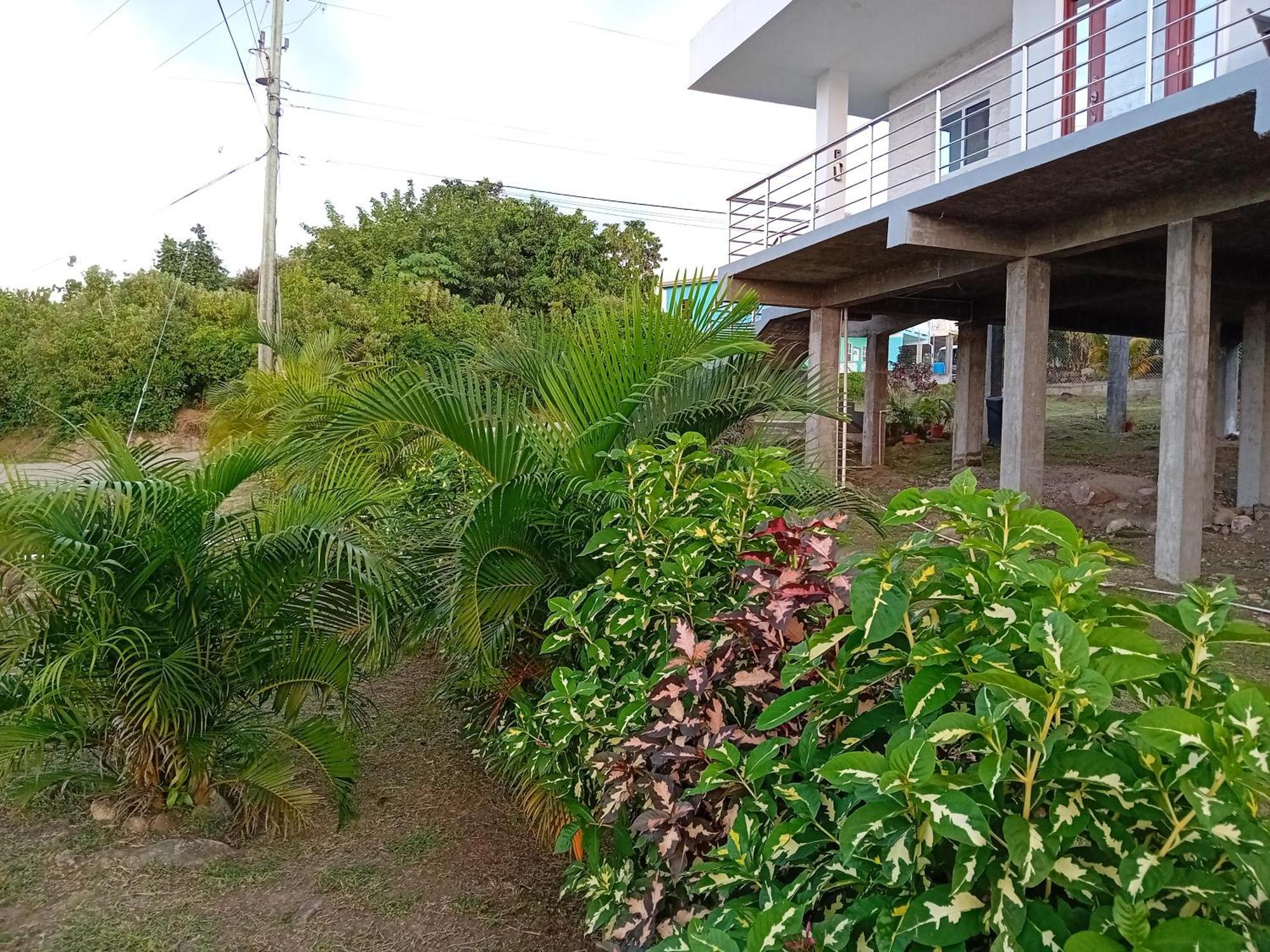 Anse La Raye Serenity Seaview Suite מראה חיצוני תמונה